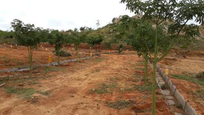 Project Image of 1200.0 - 6000.0 Sq.ft Residential Plot Plot for buy in Zain Galaxy