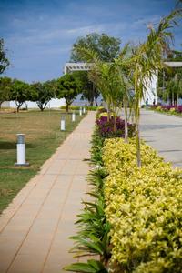 Project Image of 1006 Sq.ft Residential Plot / Land for sale in Yerthiganahalli for Rs. 10563000
