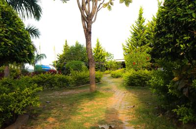Project Image of 1500.0 - 3200.0 Sq.ft Residential Plot Plot for buy in Concorde Mist Valley