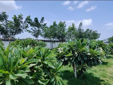 Project Image of 850.0 - 2900.0 Sq.ft Residential Plot Plot for buy in DCNPL GreensVille