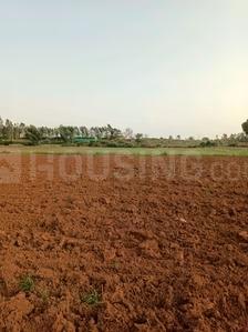 Shri Krishna Oasis Elevation 2