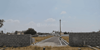 Project Images