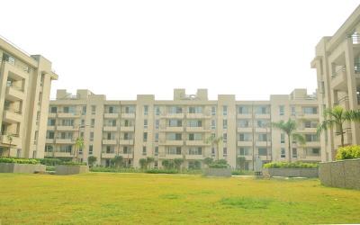 Project Image of 1170.0 - 1852.0 Sq.ft 2 BHK Apartment for buy in Alpha Meerut One