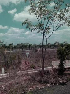 Project Image of 1620.0 - 1815.0 Sq.ft Residential Plot Plot for buy in Aditya Coastal City