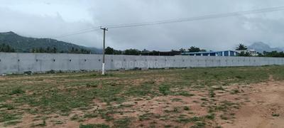 Project Image of 600.0 - 2016.0 Sq.ft Residential Plot Plot for buy in Sarangi Saranki Palm Paradise