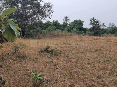 Project Image of 1000.0 - 3000.0 Sq.ft Residential Plot Plot for buy in Bhoomi Plots In Jambhulpada