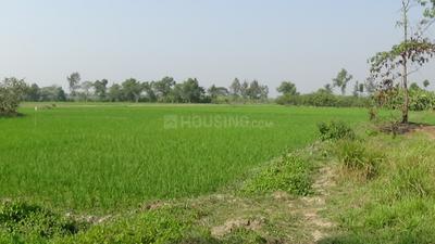 Project Image of 720.0 - 2160.0 Sq.ft Residential Plot Plot for buy in Twinrock Sharnabhumi