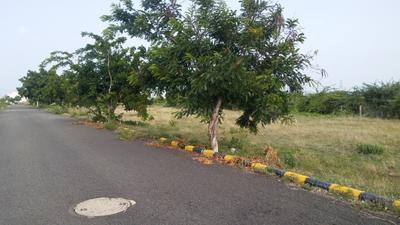 Project Image of 1500.0 - 6600.0 Sq.ft Residential Plot Plot for buy in ETA Wing Haven Gardens
