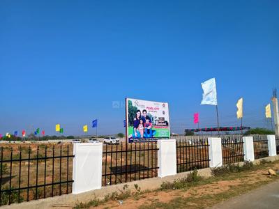 Project Image of 1323.0 - 4185.01 Sq.ft Residential Plot Plot for buy in Pearl City