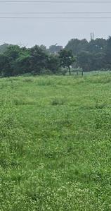Project Image of 555.53 - 1966.03 Sq.ft Residential Plot Plot for buy in Tirupati Kamdhenu Park