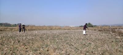 Project Image of 1000.0 - 10000.0 Sq.ft Residential Plot Plot for buy in Plot Guru in Dronagiri