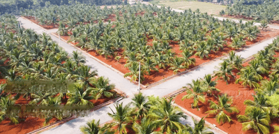 Project Image of 1350.0 - 9000.0 Sq.ft Residential Plot Plot for buy in SBD Royal Vihar