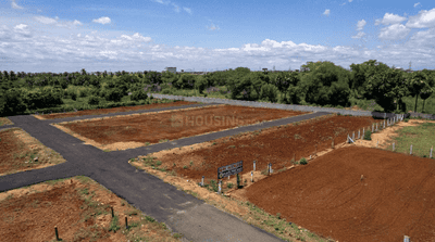 Project Images