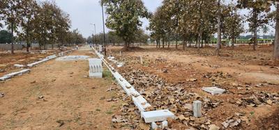 Project Image of 1200.0 - 2400.0 Sq.ft Residential Plot Plot for buy in Thrive Muses Abode