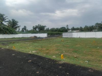 Project Image of 338.0 - 2244.0 Sq.ft Residential Plot Plot for buy in M A M Nagar