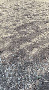 Project Image of 710.42 - 1268.63 Sq.ft Residential Plot Plot for buy in Janki Park