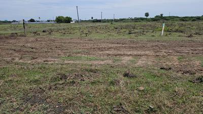 Project Image of 594.0 - 1930.0 Sq.ft Residential Plot Plot for buy in Hebron Avenue