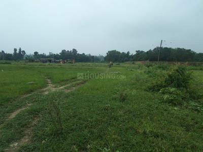 Project Image of 899.97 - 8099.95 Sq.ft Residential Plot Plot for buy in Hanukripa Phase 1