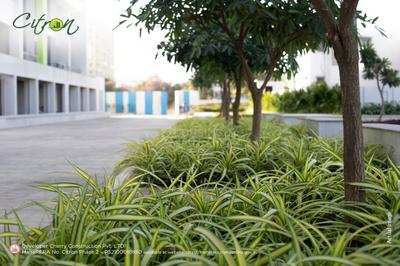 Project Image of 431.0 - 470.0 Sq.ft 1 BHK Apartment for buy in Manisha Citron Phase 2