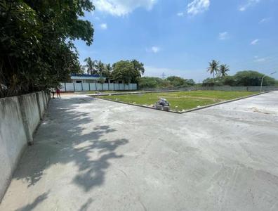 Project Image of 900.0 - 1777.0 Sq.ft Residential Plot Plot for buy in DP Apurva