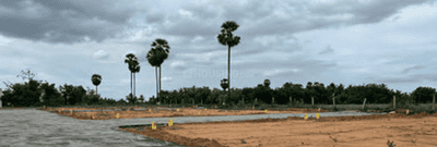 Project Images