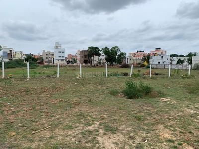 Gallery Cover Pic of Apple City