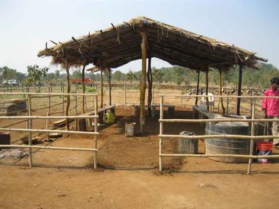 Project Image of 0.0 - 2200.0 Sq.ft Residential Plot Plot for buy in Disha Wellness City