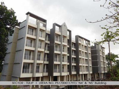 Royale Tulip N Images for Project 1