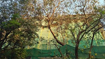 Project Image of 303.0 - 1101.0 Sq.ft 1 BHK Apartment for buy in Mahavir Arham Mourya