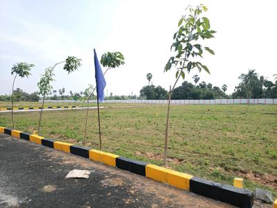 Real Plotza Phase 2 Landscape Garden and Tree Planting 1