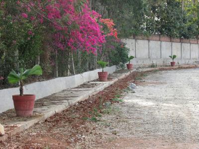Project Image of 1200.0 - 4000.0 Sq.ft Residential Plot Plot for buy in Anuradha Shreyas Meadows