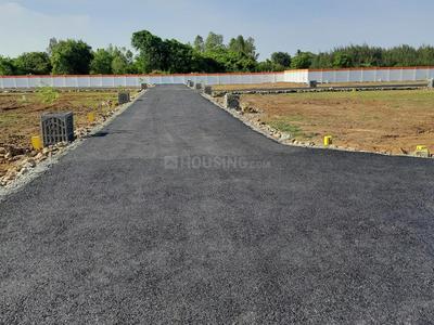 Project Image of 975.0 - 2125.0 Sq.ft Residential Plot Plot for buy in Universal City