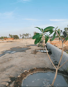 Project Image of 1000.0 - 2000.0 Sq.ft Residential Plot Plot for buy in Krishna Iscon Valley