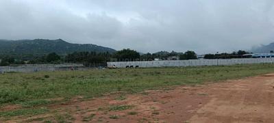 Project Image of 600.0 - 2016.0 Sq.ft Residential Plot Plot for buy in Sarangi Saranki Palm Paradise