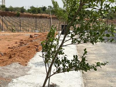 Project Image of 1467.0 - 1683.0 Sq.ft Residential Plot Plot for buy in Iconic Buddha Hills