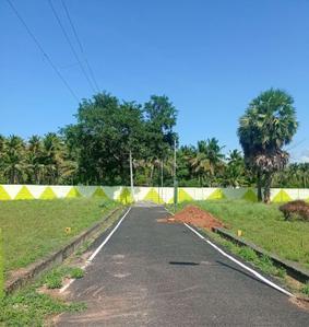 Project Images