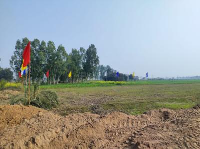 Project Image of 810 Sq.ft Residential Plot / Land for sale in Kurali for Rs. 3861000