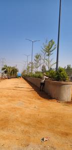 Project Image of 1485.0 - 5400.0 Sq.ft Residential Plot Plot for buy in Adrustar Terra Capital