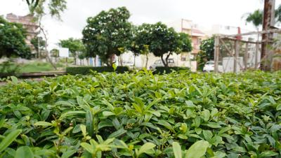 Project Image of 1158 Sq.ft Residential Plot / Land for sale in Kolar Road for Rs. 4500000