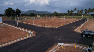 Project Images
