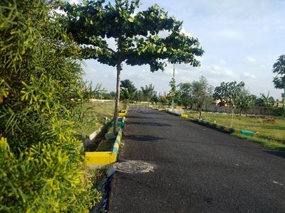 Project Image of 885.0 - 2173.0 Sq.ft Residential Plot Plot for buy in Royal Palms Conquer Enclave