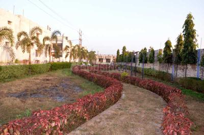 Project Images