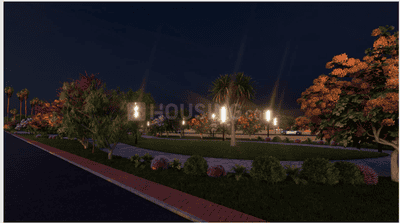 Kingmaker Universe Others 1