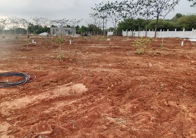 Vision Siri Vanam Plot 2