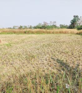 Project Image of 1000.0 - 10000.0 Sq.ft Residential Plot Plot for buy in Zamindar Plots in Sarde