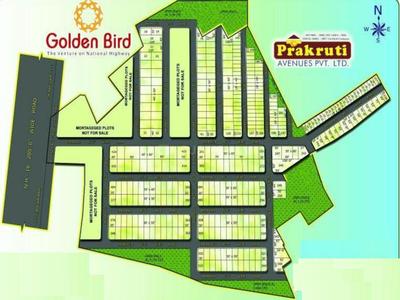 Gallery Cover Pic of Prakruti Golden Bird