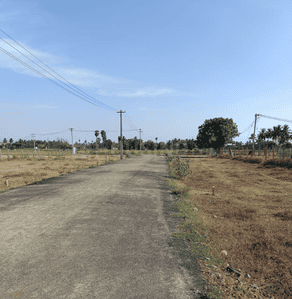 Project Images