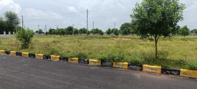 Project Image of 1368.0 - 4050.0 Sq.ft Residential Plot Plot for buy in Mega Pharma City