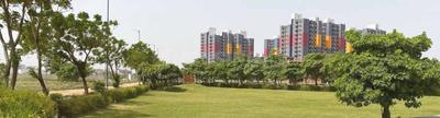 Gallery Cover Pic of AMD CITY