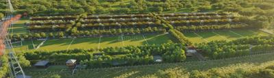 Project Image of 0.0 - 1500.0 Sq.ft Residential Plot Plot for buy in Godrej Forest Estate